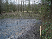 DSC05347.jpg