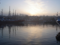 DSC03465.jpg